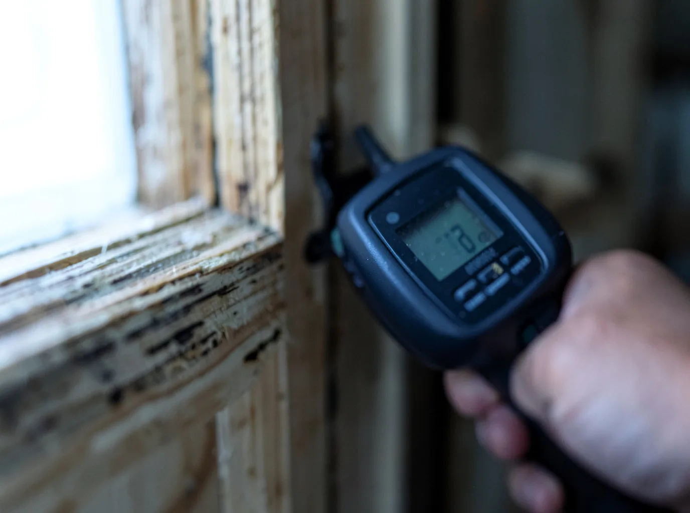 Moisture Inspection And Documentation in Labadieville, LA